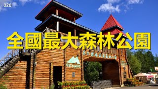 中國最東北自駕游#20，莫爾道嘎，全國最大的國家森林公園【行影步離國內版】