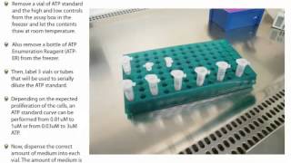 Setting Up the ATP Standard Curve and Controls for all HemoGenix/PCS ATP Bioluminescence Assays