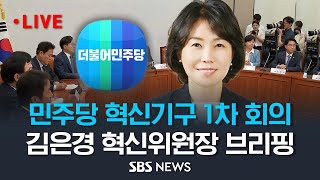 더불어민주당 혁신기구 1차 회의..김은경 혁신기구 위원장 브리핑 / SBS