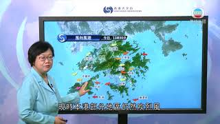 八號東北烈風或暴風信號生效 「圓規」相關雨帶影響廣東沿岸