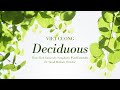 Deciduous by Viet Cuong (Official Reference Recording)