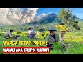 TERBIASA !! WARGA DESA TETAP PANEN WALAU ADA ERUPSI - Cerita Desa Lereng Gunung Merapi, Boyolali