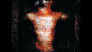 Code - I Hold Your Light
