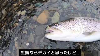 僕達のハッピーデイズ 〜金山湖•空知川〜