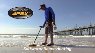 Ascend to the Apex: Saltwater Beach Hunting