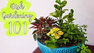 Dish Gardening 101: Designing, Planting \u0026 Care / Joy Us Garden