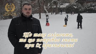 Що таке аліменти, та що потрібно знати при їх призначенні