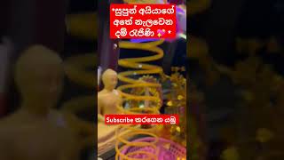 * බස් කලාවේ මුල් පුරුක දම් රැජිණි 💖*#bus #vipbus #driver #dj