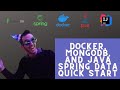 Docker, MongoDB, and Java Spring Data Quick Start