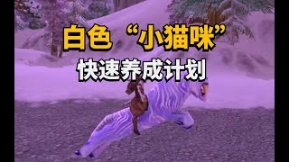 【老司机】白色“小猫咪”联盟快速养成计划，东泉霜刃豹（魔兽世界百大系列 坐骑收藏78）