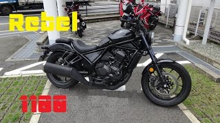 【試乗】Honda Rebel 1100 / ホンダ レブル1100　2021