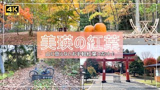 【40\u002650代：北海道移住vlog #29】美瑛観光シリーズ⑫｜山に登らないお手軽紅葉スポット｜美瑛神社｜リッカロッカ｜KONON｜《４K》