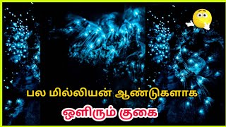 பல மில்லியன் ஆண்டுகளாக ஒளிர்ந்து கொண்டிருக்கும் குகை Waitorm glow warm cave