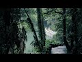 a ghost in wulai in abandoned park near taipei