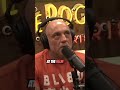 Joe Rogan believes we live in a simulation