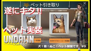 【Undawn/アンドーン】犬！猫！ぬこ！ペット解禁です　#9【黎明を告げる者】