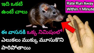 ఎలుకలు నిమిషంలో పారిపోతాయి | How To Get Rid Of Rats At Home | How To Kill Rats | Get Rid Of Rats