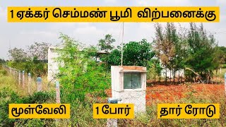 1 ஏக்கர் விற்பனைக்கு குறைந்த விலையில் மூள்வேலியுடன்✅தார் ரோடு முகப்பு✅1போர்✅EB சர்வீஸ்✅தென்காசி(Dt)📍