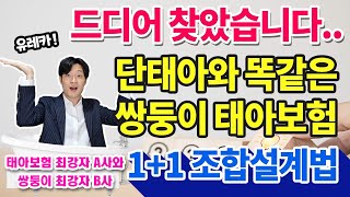 이런 설계는 처음이실겁니다 마침내 찾아낸 이란성 쌍둥이 태아보험 조합설계 방법!