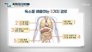 「음식물 섭취→배변」 까지 ‘24시간’안에 해결?![백세누리쇼] 9회 20200205