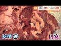 米国産牛肉高騰！ミートショックで食べ放題のバイキング店悲鳴