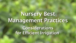 Nursery Best Management Practices: Considerations for Efficient Irrigation