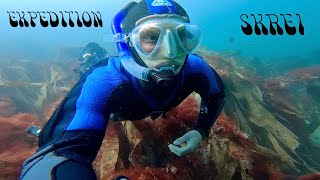 Expedition SKREI: Spearfishing in Norway