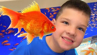 Caleb's FIRST PET! Buying a FISH at PETSMART! Family Fun Day with Mom & Dad!