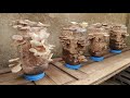 Easy - Simple - Method to grow mushrooms for your family