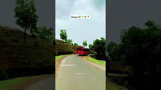 Kokan📍🌴🌱🌿#kokan #sukh #shortvideo #maharashtra #short