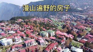 庐山的山顶，漫山遍野，一眼望去全是房子！【大海去旅行】