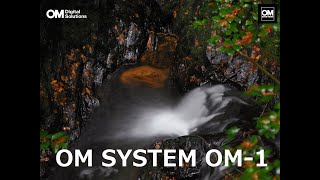 OM SYSTEM OM-1で落ち葉が水面をクルクル回る4K動画＆ライブND撮影