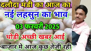 दलौदा मंडी आज का नई लहसुन का भाव 03 फरवरी 2025 |new ooty garlic rate today daloda mandi