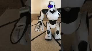 Robosapien V2 Sensor Test Video