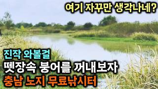 살다살다 이렇게 즐거운 낚시는 처음 해보네 ㅎㅎㅎ 토종붕어와 함께한 충남 무료낚시터 낚시와 낚시수다! (Feat. 시리의일상탈출, 딸바보낚시꾼) 대한민국환경낚시연합 납회 현장.