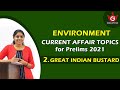 2. Great Indian Bustard | Current Affair Topics | Environment | UPSC CSE | Gallant IAS