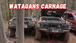 WATAGANS CARNAGE | HOW BROKEN IS THE PATROL!?