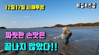 12월17일 서해투망 숭어 엄청남!! 짜릿한 손맛은 끝나지 않았다!