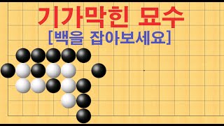 바둑 사활 - 기가막힌 묘수가 나옵니다. 백을 잡아보세요