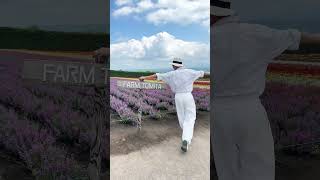 Tomita Farm💜Shikisai no oka #hokkaidojapan #furano #lavender