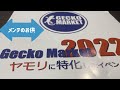 爬虫類・両生類のメンテをしながら聴く動画【メンテのお供】超楽しい❗️ゲッコーマーケットに行ってきた‼️