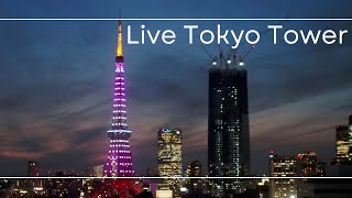 4K LIVE 「空色」特別ライトアップの東京タワーと麻布台ヒルズ森JPタワー /Tokyo Tower and  Azabudai Hills 2023.5.29-30