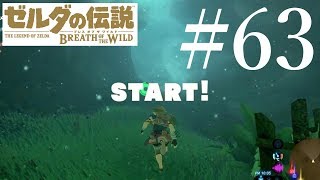 【ゼルダの伝説BOTW】#63 コログの森の試練を３つクリア（収録は「はじめてのしれん」「燃えずのしれん」)