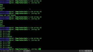 01 Shell Script Arrays Tutorial