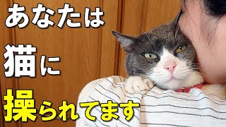 あなたは操られているかも！？猫が駆使する心理テクニック【保護猫】