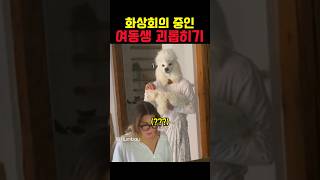 화상회의 중인 여동생 괴롭히기ㅋㅋㅋ