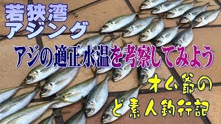 【アジング】初心者の方でも簡単　アジの適正水温 若狭湾編 「この水温の時に爆釣しました！」