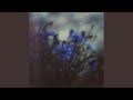 Silver Horizon (Solo Version)