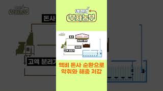 [역전의부자농부 240회] 액비 돈사 순환으로 악취와 해충 발생 저감