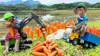 Bim Bim drives an excavator to harvest carrots on the farm